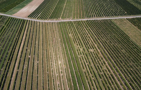 Drone photography