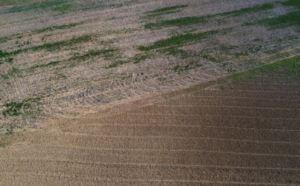 Drone view of harvested fields