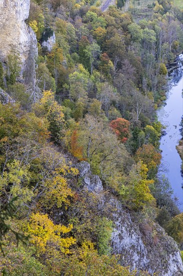 Viewpoint Knopfmacherfelsen with autumn forest