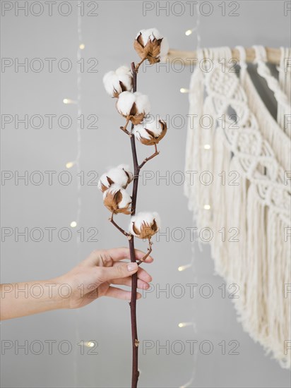 Close up woman holding branch