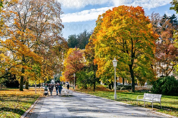 Promenade in autumn spa park