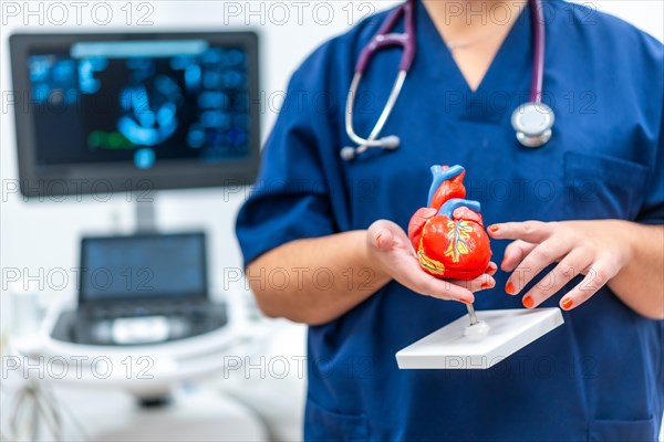 Close-up photo of a cardiologist holding a plastic heart shape model that helps to give information