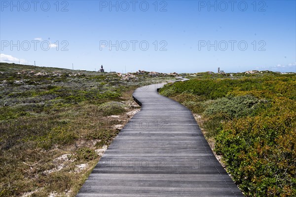 Wooden jetty