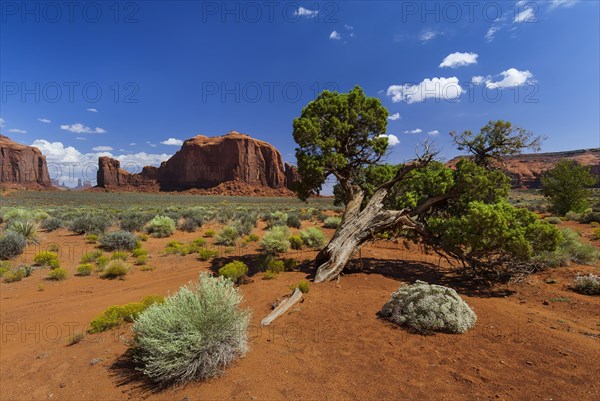 Landscape in Monument valley