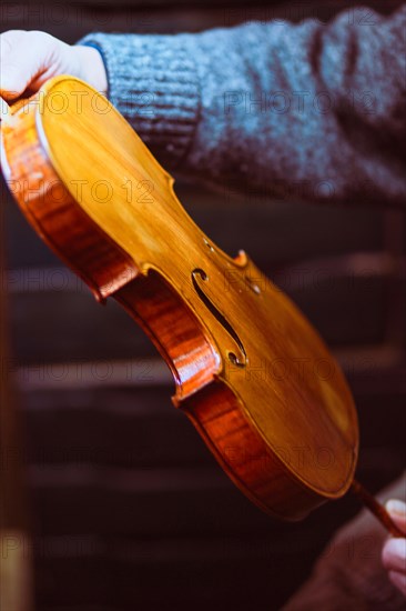 Senior expert violin maker luthier