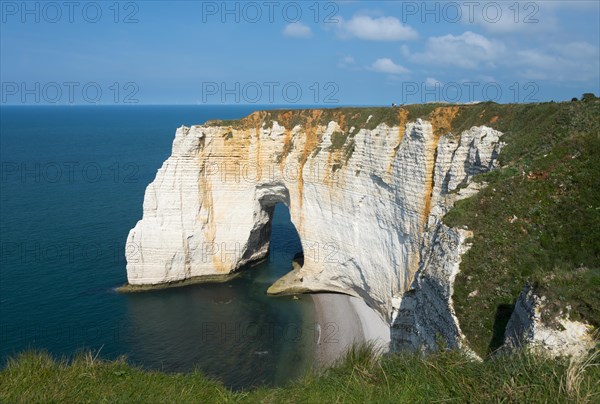 Rocky coast