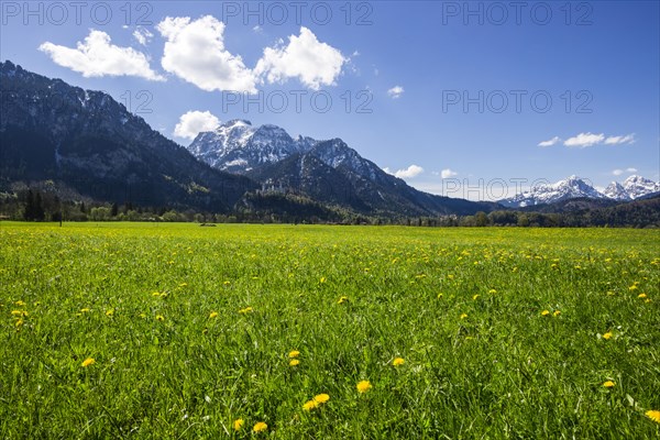 Neuschwanstein Castle