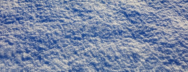 Snow cover with ice crystals on a snow-covered meadow