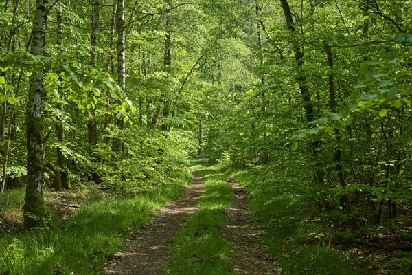 Hiking trail