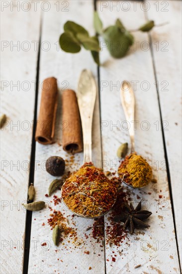 Cinnamon sticks spoon with indian spices