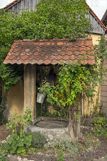 Old draw well in a garden