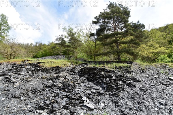 Disused slate mine with overburden in the valley of the Kyrbach near Oberkirn in Hunsrueck