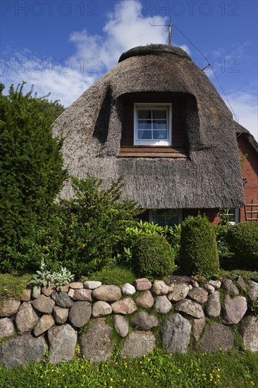 Thatched houses