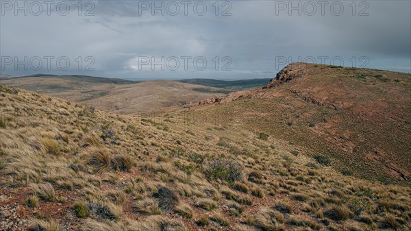 Patagonian steppe