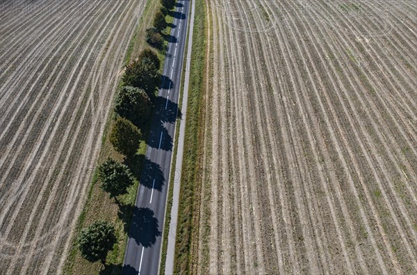 Drone view of a tree-lined road between harvested fields