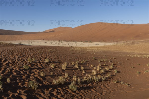 Dunes in Deadvlei