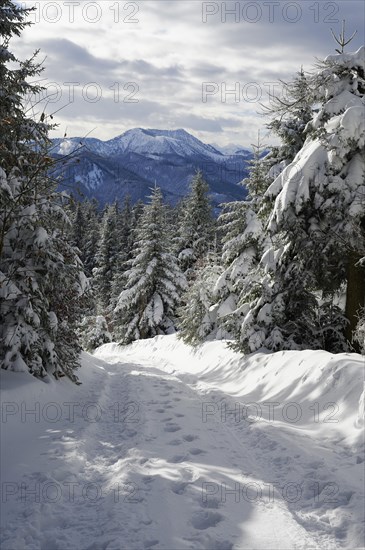 View from the Neureuth to the Hirschberg in winter