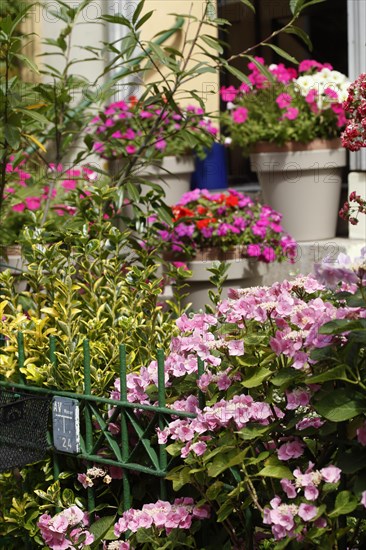 Front garden with garden fence and flower pots