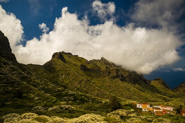 Teno Mountains