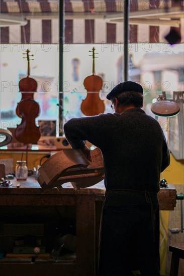 Senior expert luthier artisan violin maker carve sculpt chisel ribs of a new classical model cello in workshop Cremona Italy