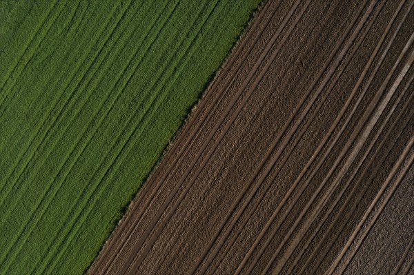 Drone view of green and ploughed fields