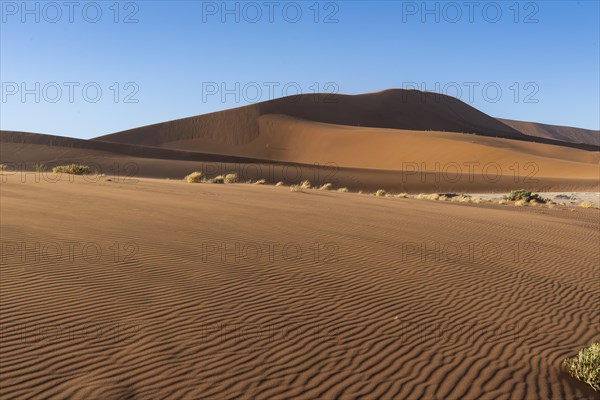 Dunes in Sossusvlei