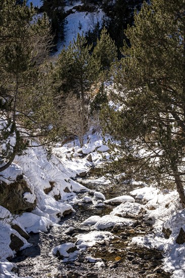 Winter landscape with snow in the snowy mountains of the Pyrenees of Andorra