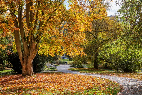 Promenade in autumn spa park