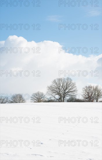 Winter landscape with gentle hill