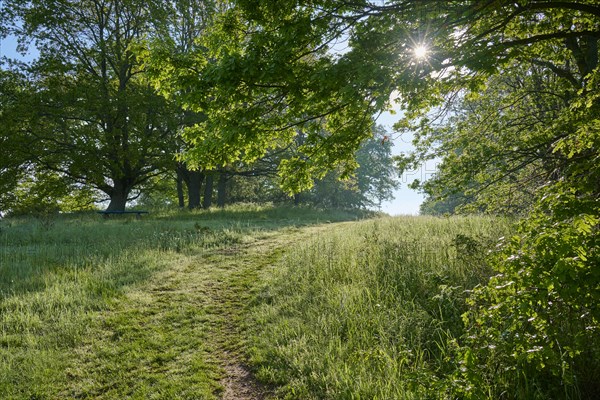 Hiking trail