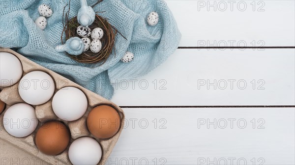 Quail eggs nest with rack