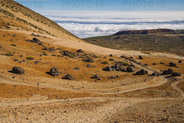 Huevos del Teide