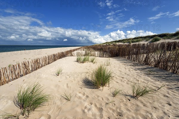 Dune landscape at Ellenbogen