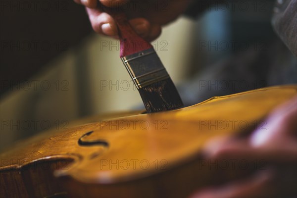 Senior expert violin maker luthier varnish with brush classic handmade violin paint natural ingredient recipe in Cremona Italy home of best artisan of this kind