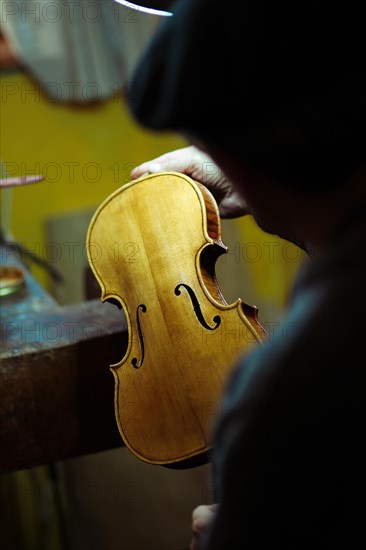 Senior expert violin maker luthier