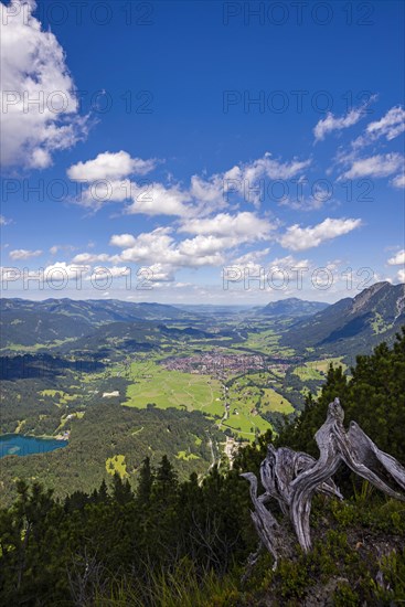 Panorama from Himmelschrofen