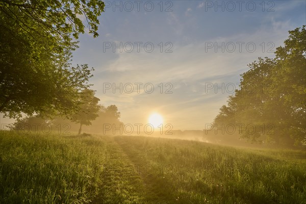 Hiking trail