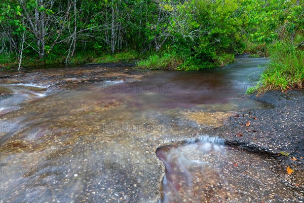 Cano Piedras