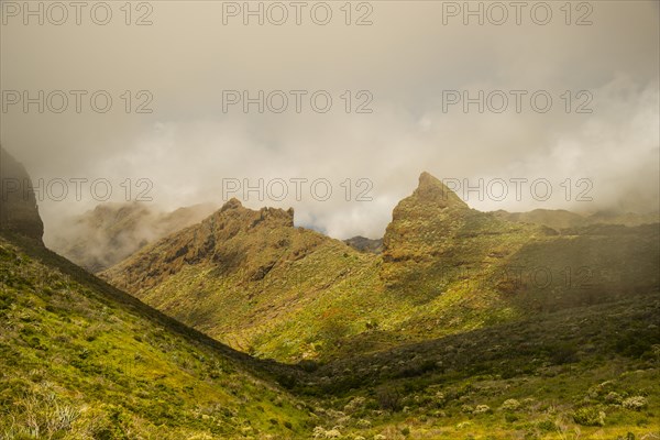 Teno Mountains