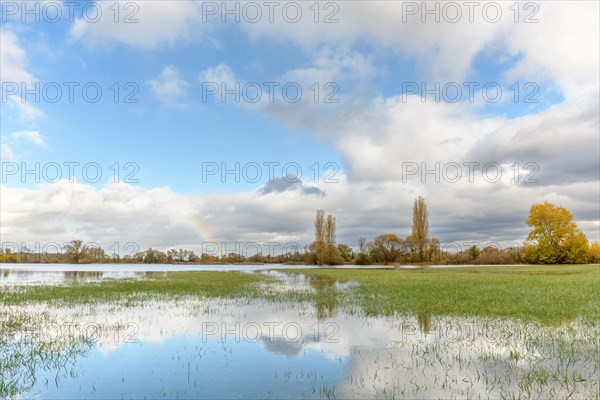 Flooded meadow after heavy rains. Autumn landscape. Bas-Rhin