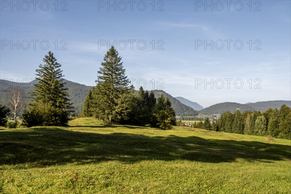 Humpback meadows near Kruen