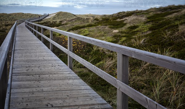 Wooden walkway through the dunes to the sea