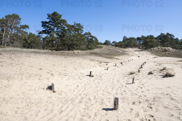 Inland dunes