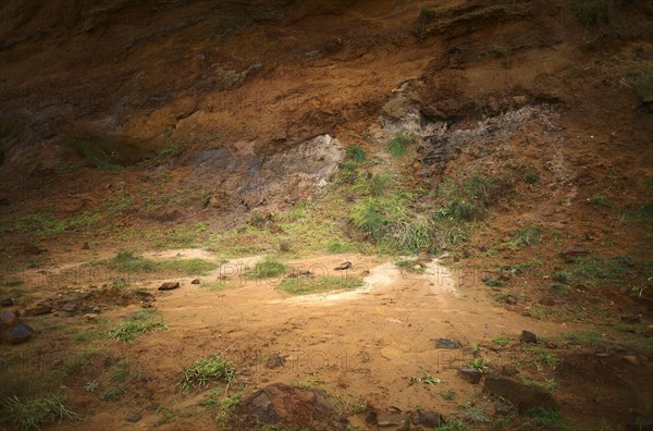 Reddish rock of limonite