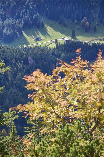 View from the Hirschberg to the Schwarzentennalm in autumn