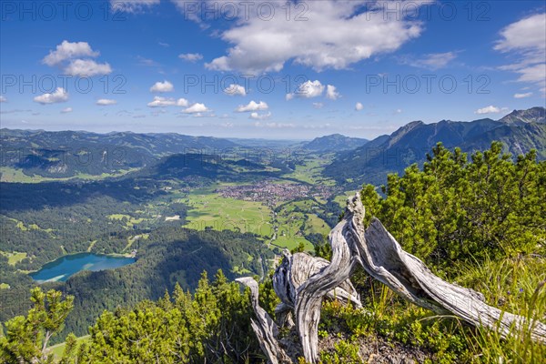 Panorama from Himmelschrofen