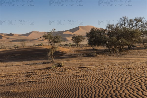 Dunes in Sossusvlei