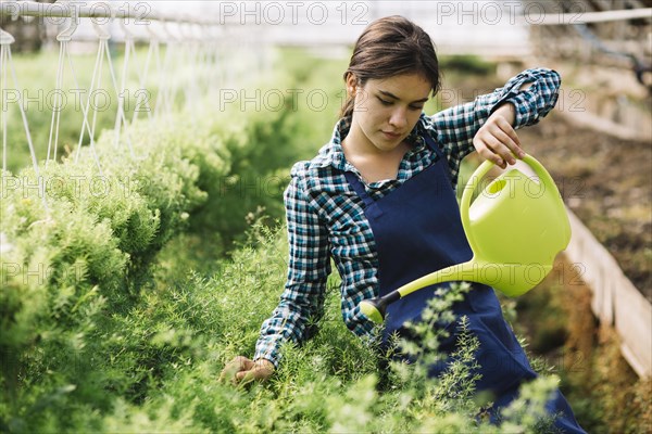 Female gardener working greenhouse