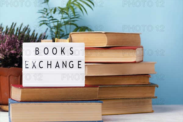 Front view stacked books with pot plants light box