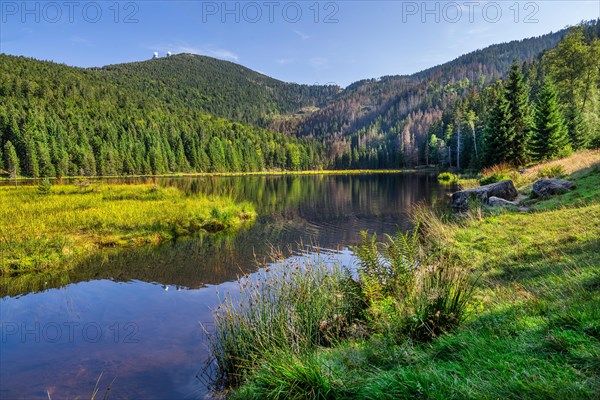 Nature reserve Kleiner Arbersee with floating islands and Grosser Arber 1456m